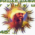 Richard Shafi & Gunesh - 45 In A Shadow