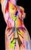 Body Art