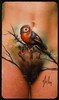 Body Art
