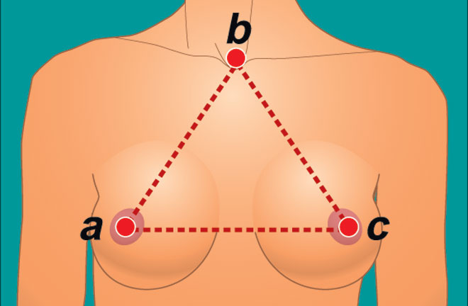 Геометрия груди