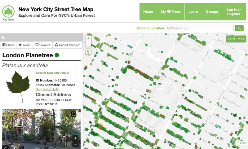NYC-Street-Tree-Map